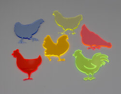 Sonnenfänger Hühnerhaufen Bild 1