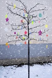 Sonnenfänger Sterne Bild 1