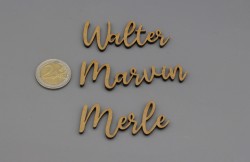 Platzkarten Lasercut aus Holz / MDF Hochzeit / Taufe / Geburtstag etc.